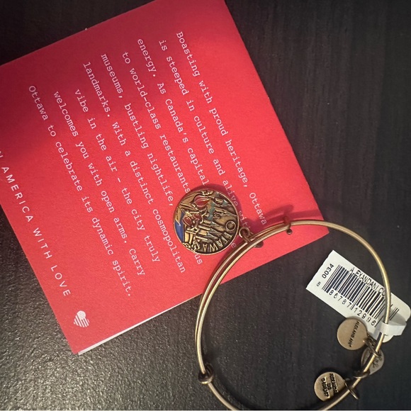 Ottawa Charm Bangle Alex and Ani - Picture 2 of 4